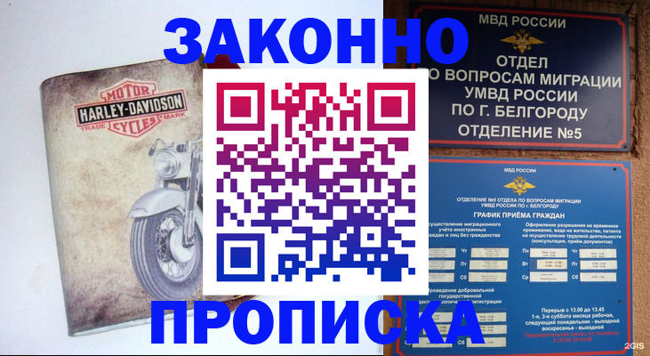 прописка для школы в России